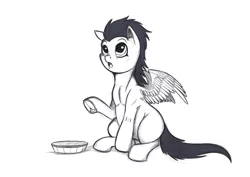 Size: 3507x2480 | Tagged: safe, artist:exelzior, derpibooru import, soarin', pony, black and white, foal, food, grayscale, monochrome, pie, sketch, solo