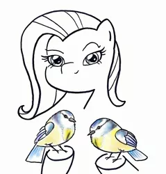 Size: 1428x1491 | Tagged: artist:potatobug, bird, chickadee (bird), derpibooru import, fluttershy, great tit, looking at you, partial color, pun, safe, simple background, smiling, solo, traditional art, visual pun, white background