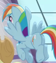 Size: 472x529 | Tagged: safe, derpibooru import, screencap, applejack, rainbow dash, pony, princess twilight sparkle (episode), butt, cropped, female, mare, plot, solo focus