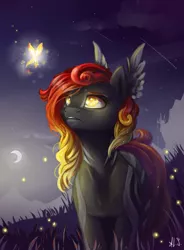 Size: 1400x1900 | Tagged: safe, artist:alina-sherl, derpibooru import, oc, unofficial characters only, firefly (insect), insect, pegasus, pony, canterlot, crescent moon, female, gradient mane, grass, mare, moon, night, signature, silhouette, solo, yellow eyes