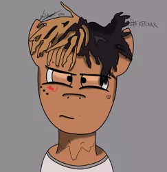 Size: 2377x2448 | Tagged: artist:asticle32, derpibooru import, male, oc, oc:xxxtentacion, rapper, safe, solo, trap, trap (music), unofficial characters only, xxxtentacion