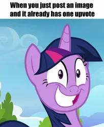 Size: 688x845 | Tagged: safe, derpibooru import, twilight sparkle, twilight sparkle (alicorn), alicorn, pony, top bolt, caption, faic, female, grin, image macro, mare, meme, nervous, smiling, solo, squee, text, upvote, upvote bait, wide eyes