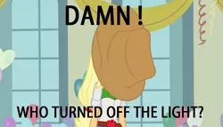 Size: 1280x733 | Tagged: safe, derpibooru import, edit, edited screencap, screencap, applejack, equestria girls, equestria girls (movie), caption, image macro, meme, silly, silly human, solo, text, who's a silly human