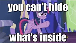 Size: 1920x1080 | Tagged: safe, derpibooru import, edit, edited screencap, screencap, twilight sparkle, twilight sparkle (alicorn), alicorn, pony, what about discord?, angry, caption, discovery family logo, image macro, meme, no weenies allowed, pointing, solo, spongebob squarepants, text