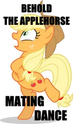 Size: 687x1163 | Tagged: safe, derpibooru import, applejack, pony, behaving like a bird, behaving like a chicken, caption, image macro, majestic as fuck, mating dance, meme, silly, silly pony, text, who's a silly pony