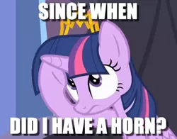 Size: 344x270 | Tagged: safe, derpibooru import, edit, edited screencap, screencap, twilight sparkle, twilight sparkle (alicorn), alicorn, pony, equestria games (episode), amnesia, caption, confused, female, frown, horn, image macro, looking up, mare, meme, memory loss, poking, question, rubbing, sitting, solo, text, throne, underhoof, wide eyes