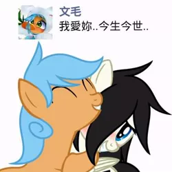 Size: 432x432 | Tagged: safe, derpibooru import, oc, oc:lan wu, oc:文毛, unofficial characters only, pony, chinese text, female, lesbian