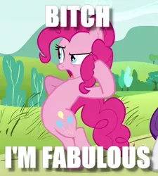 Size: 418x464 | Tagged: bitch i'm fabulous, caption, derpibooru import, edit, edited screencap, image macro, meme, pinkie pie, pose, putting your hoof down, rarity, safe, screencap, text, vulgar