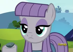 Size: 645x458 | Tagged: safe, derpibooru import, screencap, boulder (pet), maud pie, pony, rock solid friendship, discovery family logo