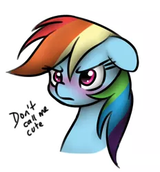 Size: 821x886 | Tagged: artist needed, safe, derpibooru import, rainbow dash, pegasus, pony, blatant lies, blushing, bust, cute, dashabetes, dialogue, female, floppy ears, frown, glare, i'm not cute, mare, simple background, solo, tsunderainbow, tsundere, unamused, white background