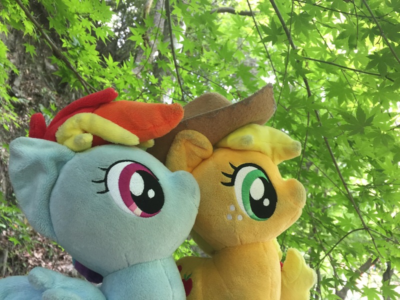 Size: 3264x2448 | Tagged: safe, artist:setorin5, derpibooru import, applejack, rainbow dash, pony, 4de, irl, japan, momiji (tree), photo, plushie, ponies around the world, ponies in real life, travelling