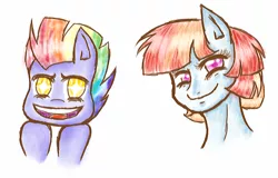 Size: 662x423 | Tagged: safe, artist:moonlightprincess002, derpibooru import, bow hothoof, windy whistles, pony, bust, female, male, portrait, rainbow dash's parents, shipping, straight, windyhoof