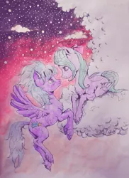 Size: 930x1280 | Tagged: safe, artist:femteetan, derpibooru import, cloudchaser, flitter, pegasus, pony, cloud, cloudy, female, flying, prone, siblings, sisters, sky, stars, traditional art, twilight (astronomy), unshorn fetlocks