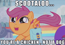 Size: 480x334 | Tagged: animated, artist:小凱, behaving like a dog, butt shake, caption, chinese text, cute, cutealoo, cutie mark, derpibooru import, edit, edited screencap, gif, image macro, meme, parental glideance, safe, scootaloo, scootapup, screencap, solo, tail wag, talking, text, the cmc's cutie marks