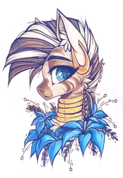 Size: 1429x2051 | Tagged: safe, artist:tenebristayga, derpibooru import, edit, editor:dsp2003, zecora, zebra, :<, bust, cheek fluff, chest fluff, cute, ear fluff, ear piercing, earring, female, flower, image, jewelry, looking at you, mare, piercing, png, poison joke, portrait, retouched, simple background, solo, traditional art, white background, zecorable