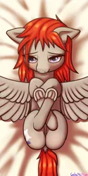 Size: 1000x2000 | Tagged: safe, artist:galacticham, derpibooru import, oc, oc:jetlag, unofficial characters only, pony, bedroom eyes, blushing, body pillow, body pillow design, cute, frog (hoof), hooves, spread wings, underhoof, wings