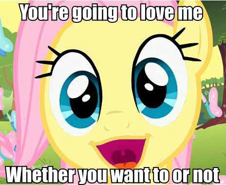 Size: 464x381 | Tagged: caption, derpibooru import, faic, fluttershy, image macro, imminent hape, incoming hug, ponyface, safe, text, you're going to love me