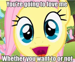 Size: 464x381 | Tagged: caption, derpibooru import, faic, fluttershy, image macro, imminent hape, incoming hug, ponyface, safe, text, you're going to love me