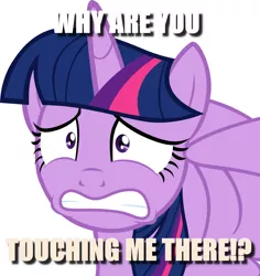 Size: 900x954 | Tagged: suggestive, derpibooru import, twilight sparkle, twilight sparkle (alicorn), alicorn, pony, bad touch, caption, image macro, meme, molestation, personal space invasion, simple background, solo, surprised, text, white background