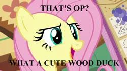 Size: 1280x720 | Tagged: cute, derpibooru import, edit, edited screencap, fluttershy, fluttershy leans in, happy, reaction image, safe, screencap, shyabetes, solo, text, wood duck