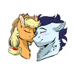 Size: 3000x3000 | Tagged: safe, artist:scarletskitty12, derpibooru import, applejack, soarin', pony, blushing, cowboy hat, eyes closed, female, hat, male, mare, nuzzling, shipping, simple background, soarinjack, stallion, stetson, straight, white background