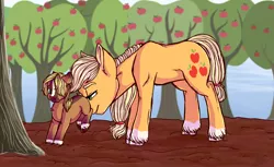 Size: 1024x625 | Tagged: safe, artist:loladotz, derpibooru import, applejack, oc, pony, apple, apple orchard, apple tree, blaze (coat marking), colt, duo, female, male, mare, mother and child, mother and son, nudging, offspring, orchard, parent:applejack, parent:troubleshoes clyde, parents:troublejack, socks (coat marking), story included, tree, unshorn fetlocks, wavy mouth