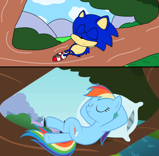 Size: 1024x1008 | Tagged: safe, artist:harmony--bunny, derpibooru import, rainbow dash, pony, crossover, redraw, resting, screenshots, sonic the hedgehog, sonic the hedgehog (series)