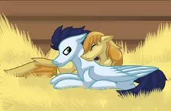 Size: 5544x3592 | Tagged: safe, artist:funny-arts, derpibooru import, braeburn, soarin', earth pony, pegasus, pony, absurd resolution, barn, crack shipping, cuddling, eyes closed, gay, hay, male, missing accessory, missing cutie mark, nuzzling, shipping, soarburn, stallion