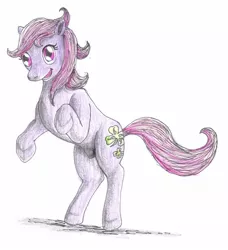 Size: 1209x1327 | Tagged: safe, artist:edhelistar, derpibooru import, clover (g1), pony, g1, g1 to g4, generation leap, rearing, simple background, traditional art