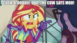 Size: 888x499 | Tagged: safe, derpibooru import, screencap, sci-twi, sunset shimmer, twilight sparkle, equestria girls, friendship games, angry, caption, crazy steve, drake & josh, exploitable meme, image macro, meme, sunset yells at twilight, text