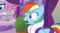 Size: 300x168 | Tagged: safe, derpibooru import, screencap, lavender essence, rainbow dash, pegasus, pony, applejack's "day" off, bathrobe, clothes, cute, dashabetes, female, gasp, mare, open mouth, picture for breezies, robe, shocked, shrunken pupils