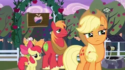 Size: 1280x720 | Tagged: safe, derpibooru import, screencap, apple bloom, applejack, big macintosh, grand pear, pony, the perfect pear, apple, apple siblings, apple sisters, apple tree, boomerang (tv channel), brother and sister, siblings, sisters, sweet apple acres, tree