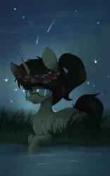 Size: 2442x3919 | Tagged: safe, artist:kebchach, derpibooru import, oc, oc:eternal light, unofficial characters only, alicorn, firefly (insect), insect, pony, glasses, night, pond, ponytail, shooting star, stars, wreath