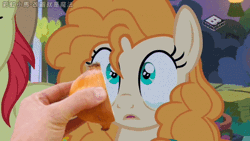 Size: 400x225 | Tagged: safe, artist:小凱, derpibooru import, edit, edited screencap, screencap, bright mac, pear butter, pony, the perfect pear, achoo, animated, brightbutter, chinese text, crying, female, food, gif, hand, male, onion, shipping, sneezing, straight