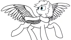 Size: 1608x899 | Tagged: safe, artist:zephyr!, derpibooru import, oc, unnamed oc, unofficial characters only, pegasus, pony, blank, clothes, flying, landing, male, scarf, simple background, solo, stallion, white background