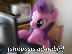 Size: 603x452 | Tagged: safe, artist:nekokevin, derpibooru import, starlight glimmer, pony, unicorn, series:nekokevin's glimmy, caption, computer, cute, female, glimmerbetes, glimmerposting, image macro, irl, keyboard, mare, meme, photo, plushie, shitposting, shitposting loudly, smiling, solo, text, vulgar, zoom blur