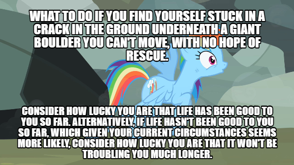 Size: 600x337 | Tagged: boulder, derpibooru import, edit, edited screencap, ghastly gorge, hitchhiker's guide to the galaxy, may the best pet win, meme, open mouth, pinned, rainbow dash, rock, safe, screencap, text, wide eyes