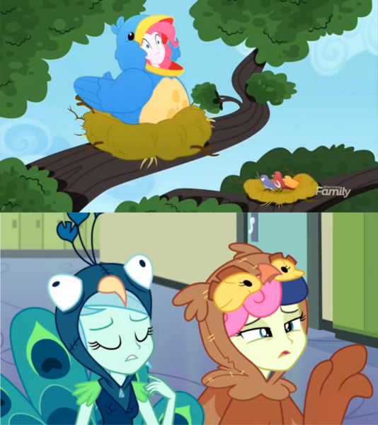 Size: 683x768 | Tagged: safe, derpibooru import, screencap, bon bon, constance, lyra heartstrings, pinkie pie, sweetie drops, bird, all's fair in love and friendship games, eqg summertime shorts, equestria girls, the art of friendship, animal costume, bird costume, bird nest, bon bon is not amused, bon owl, chickadee (bird), clothes, costume, house finch, lyrabird, nest, pinkie birdie, sitting in a tree, songbird, tree branch, unamused