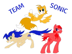 Size: 1024x775 | Tagged: safe, artist:spqr21, derpibooru import, ponified, pony, deviantart muro, knuckles the echidna, miles "tails" prower, simple background, sonic the hedgehog, sonic the hedgehog (series), transparent background