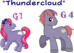 Size: 1280x920 | Tagged: safe, artist:ludiculouspegasus, derpibooru import, thundercloud (g1), earth pony, pony, g1, g1 to g4, generation leap, male, simple background, solo, stallion, transparent background, vector
