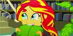 Size: 666x330 | Tagged: safe, derpibooru import, screencap, sunset shimmer, epic fails (equestria girls), eqg summertime shorts, equestria girls, clothes, cute, female, jacket, plant, shimmerbetes, solo, teeth