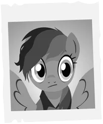Size: 4937x5936 | Tagged: safe, artist:amarthgul, derpibooru import, daring do, pony, daring done?, absurd resolution, monochrome, photo, simple background, solo, transparent background, vector
