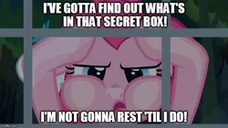 Size: 710x400 | Tagged: safe, derpibooru import, screencap, pinkie pie, pony, daring done?, caption, image macro, meme, spongebob squarepants, text, the secret box