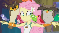 Size: 1920x1080 | Tagged: safe, derpibooru import, screencap, fluttershy, bird, owl, equestria girls, legend of everfree, chickadee (bird), clothes, house finch, outstretched arms, perching, songbird, tanktop