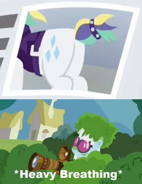 Size: 628x810 | Tagged: safe, derpibooru import, edit, edited screencap, screencap, photo finish, rarity, earth pony, pony, unicorn, it isn't the mane thing about you, alternate hairstyle, butt, camera, caption, eyes on the prize, female, heavy breathing, image macro, mare, meme, photo, plot, punk, raripunk, text