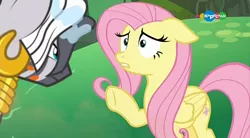 Size: 854x470 | Tagged: safe, derpibooru import, screencap, fluttershy, zecora, pegasus, pony, zebra, a health of information, alternate hairstyle, carousel (tv channel), ear piercing, earring, jewelry, piercing, swamp fever, wet, wet mane