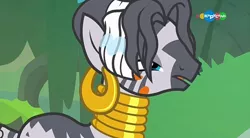 Size: 854x470 | Tagged: a health of information, alternate hairstyle, carousel (tv channel), derpibooru import, ear piercing, earring, jewelry, piercing, safe, screencap, solo, swamp, swamp fever, wet, wet mane, zebra, zecora