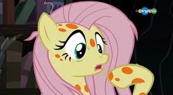 Size: 854x470 | Tagged: safe, derpibooru import, screencap, fluttershy, pegasus, pony, a health of information, carousel (tv channel), female, mare, messy mane, sick, solo, spots, swamp fever