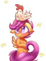 Size: 1536x2048 | Tagged: safe, artist:silviasilvar, derpibooru import, scootaloo, bird, chicken, pegasus, pony, semi-anthro, :>, angry, blushing, chest fluff, chick, cute, cutealoo, eyes closed, female, filly, floppy ears, frown, glare, gritted teeth, looking up, messy mane, pose, raised hoof, scootachicken, simple background, sitting, smiling, sparkles, spread wings, transparent background, unamused, wings