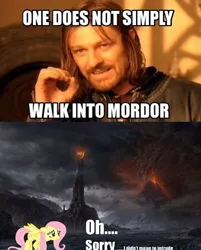 Size: 500x621 | Tagged: safe, derpibooru import, fluttershy, human, pegasus, pony, barad-dûr, boromir, crossover, eye of sauron, female, lord of the rings, male, man, mare, meme, mordor, mount doom, one does not simply walk into mordor, volcano